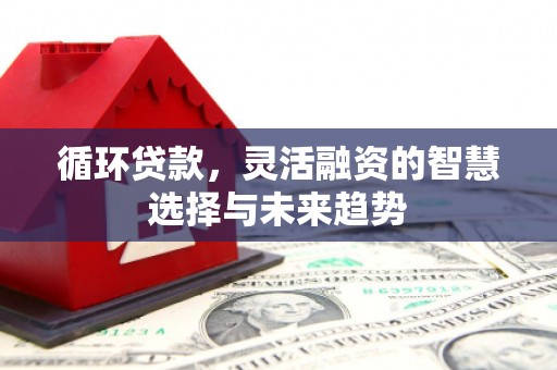 秦安循环贷款，灵活融资的智慧选择与未来趋势