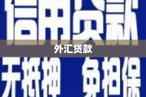 秦安外汇贷款