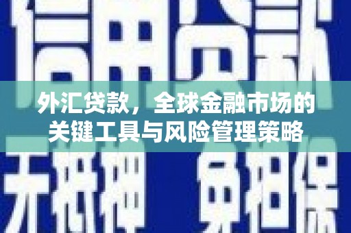 秦安外汇贷款，全球金融市场的关键工具与风险管理策略