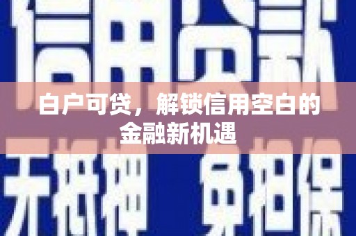 秦安白户可贷，解锁信用空白的金融新机遇