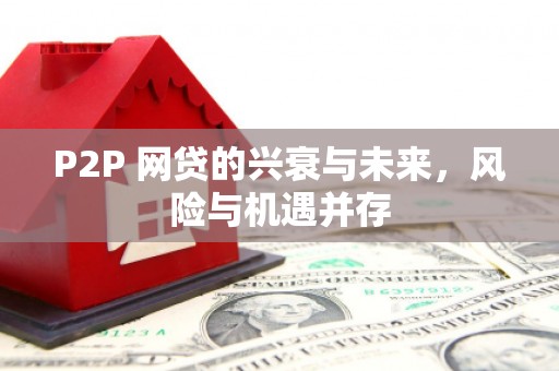 秦安P2P 网贷的兴衰与未来，风险与机遇并存