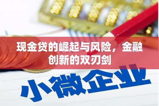 秦安现金贷的崛起与风险，金融创新的双刃剑