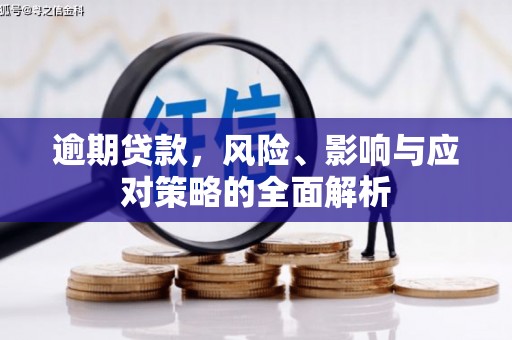 秦安逾期贷款，风险、影响与应对策略的全面解析