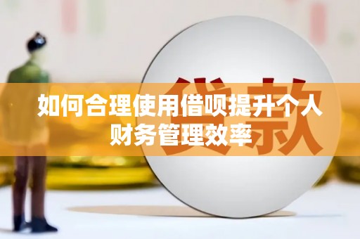 秦安如何合理使用借呗提升个人财务管理效率