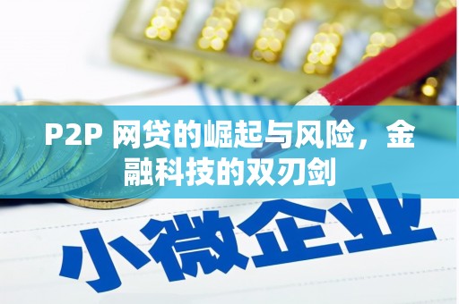 秦安P2P 网贷的崛起与风险，金融科技的双刃剑