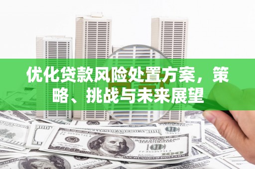 秦安优化贷款风险处置方案，策略、挑战与未来展望