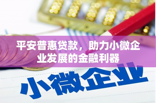 秦安平安普惠贷款，助力小微企业发展的金融利器