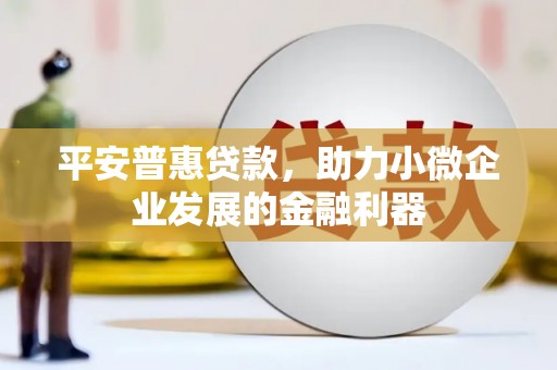 秦安平安普惠贷款，助力小微企业发展的金融利器