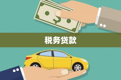 秦安税务贷款