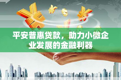 秦安平安普惠贷款，助力小微企业发展的金融利器