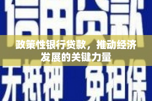 秦安政策性银行贷款，推动经济发展的关键力量