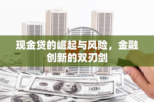 秦安现金贷的崛起与风险，金融创新的双刃剑