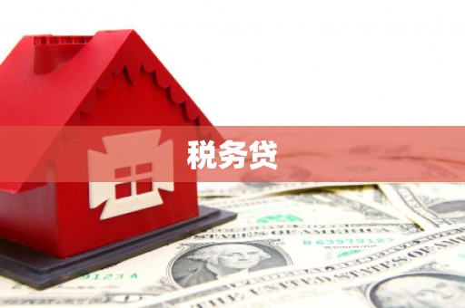秦安税务贷