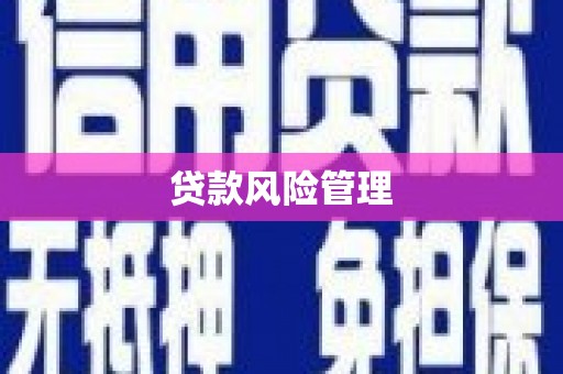 秦安贷款风险管理