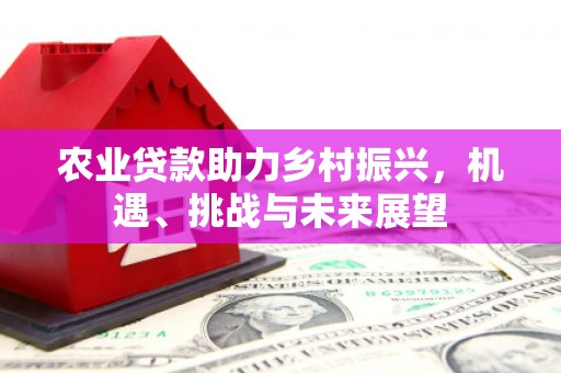 秦安农业贷款助力乡村振兴，机遇、挑战与未来展望