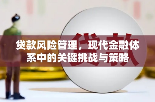 秦安贷款风险管理，现代金融体系中的关键挑战与策略