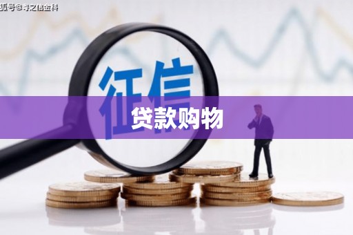 秦安贷款购物