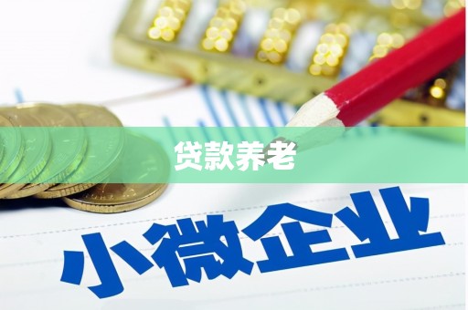 秦安贷款养老