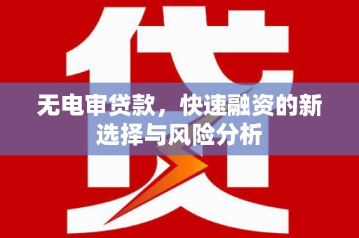 秦安无电审贷款，快速融资的新选择与风险分析