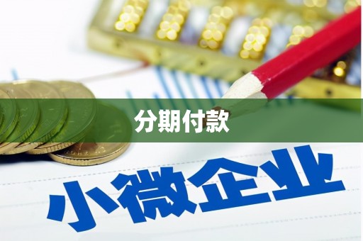 秦安分期付款