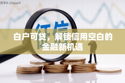 秦安白户可贷，解锁信用空白的金融新机遇