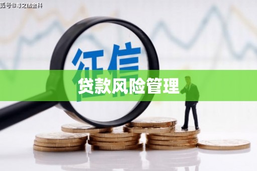 秦安贷款风险管理