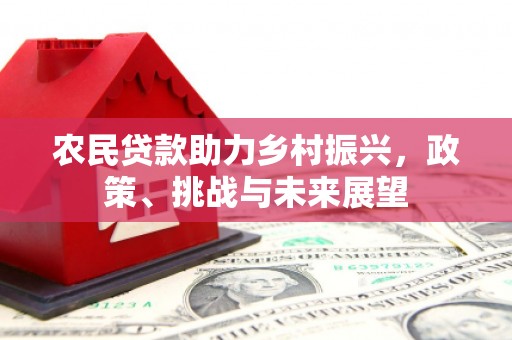 秦安农民贷款助力乡村振兴，政策、挑战与未来展望
