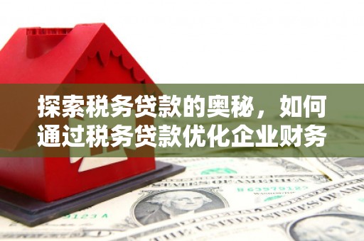 秦安探索税务贷款的奥秘，如何通过税务贷款优化企业财务