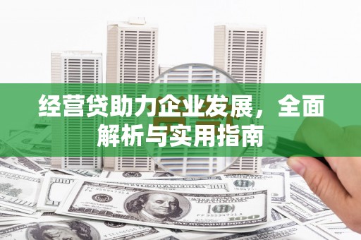 秦安经营贷助力企业发展，全面解析与实用指南