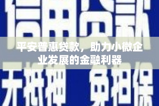 秦安平安普惠贷款，助力小微企业发展的金融利器