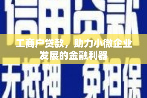 秦安工商户贷款，助力小微企业发展的金融利器