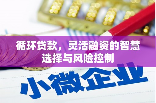 秦安循环贷款，灵活融资的智慧选择与风险控制