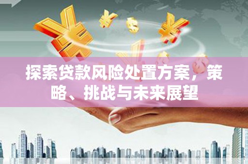 秦安探索贷款风险处置方案，策略、挑战与未来展望