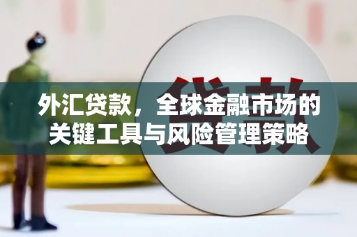 秦安外汇贷款，全球金融市场的关键工具与风险管理策略