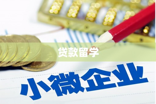 秦安贷款留学