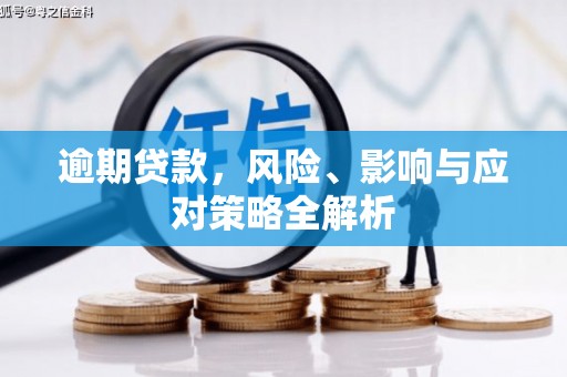 秦安逾期贷款，风险、影响与应对策略全解析