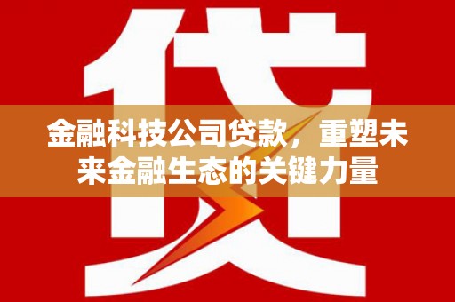 秦安金融科技公司贷款，重塑未来金融生态的关键力量
