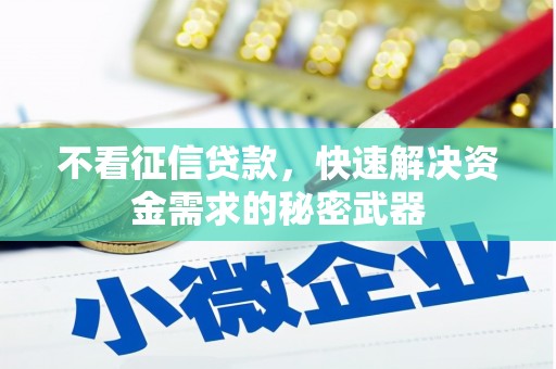 秦安不看征信贷款，快速解决资金需求的秘密武器