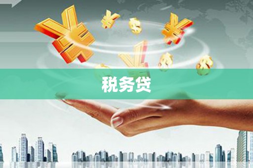 秦安税务贷