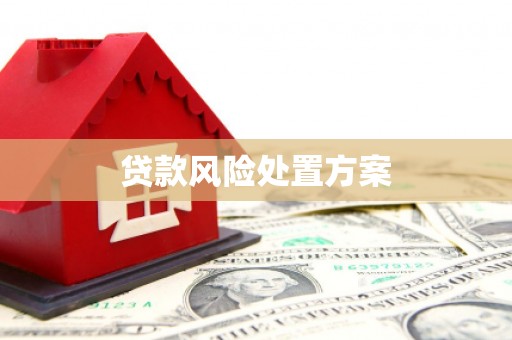 秦安贷款风险处置方案