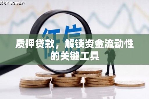 秦安质押贷款，解锁资金流动性的关键工具