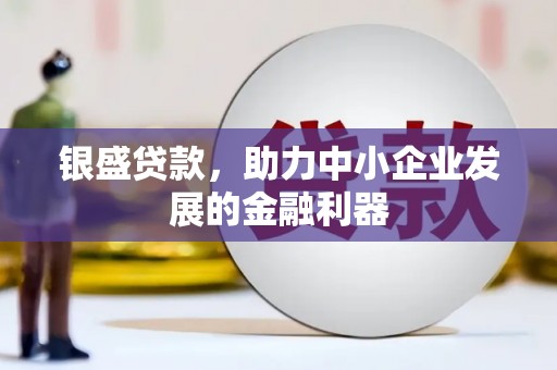 秦安银盛贷款，助力中小企业发展的金融利器