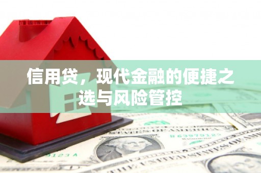 秦安信用贷，现代金融的便捷之选与风险管控