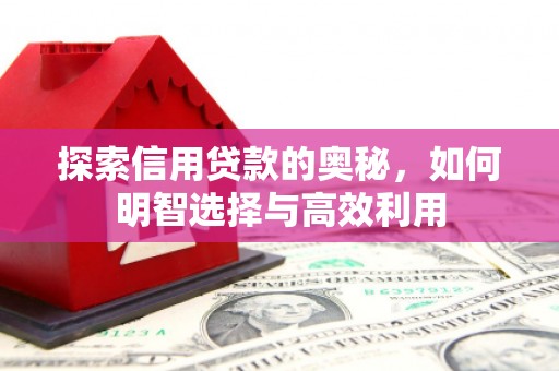 秦安探索信用贷款的奥秘，如何明智选择与高效利用