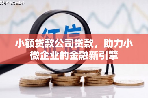 秦安小额贷款公司贷款，助力小微企业的金融新引擎