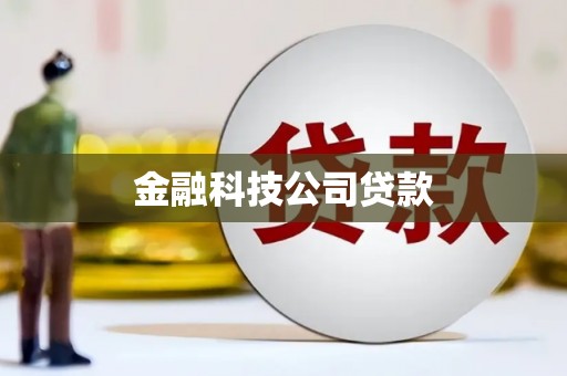 秦安金融科技公司贷款