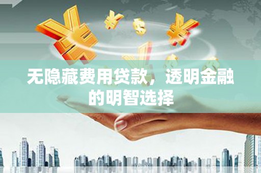 秦安无隐藏费用贷款，透明金融的明智选择