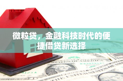 秦安微粒贷，金融科技时代的便捷借贷新选择