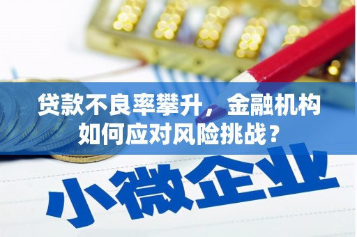 秦安贷款不良率攀升，金融机构如何应对风险挑战？