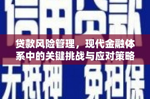 秦安贷款风险管理，现代金融体系中的关键挑战与应对策略
